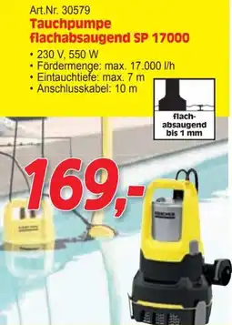 Zgonc Tauchpumpe flachabsaugend Angebot