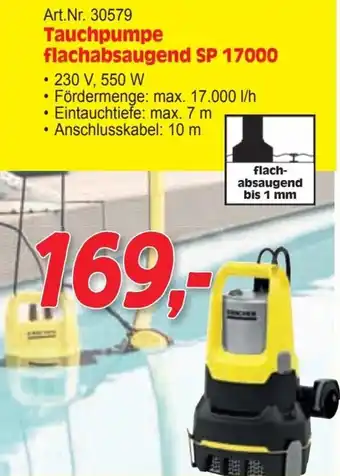 Zgonc Tauchpumpe flachabsaugend Angebot