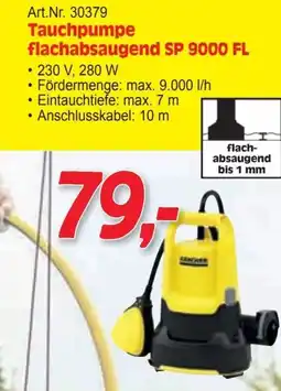 Zgonc Tauchpumpe flachabsaugend Angebot