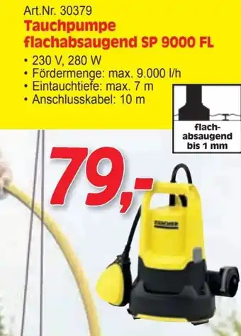 Zgonc Tauchpumpe flachabsaugend Angebot