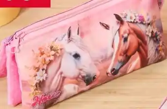 Woolworth Etui Angebot
