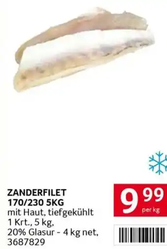 Transgourmet Zanderfilet Angebot