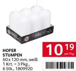 Transgourmet Hofer stumpen Angebot