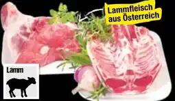 Maximarkt Lammrücken Angebot