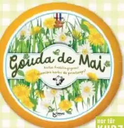 Maximarkt Original Mai Gouda Angebot
