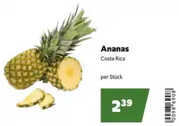 Eurogast Grissemann Ananas Angebot