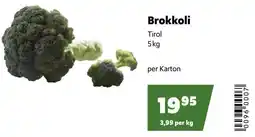 Eurogast Grissemann Brokkoli Angebot