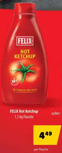 Eurogast Grissemann Felix hot ketchup Angebot