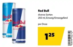 Eurogast Grissemann Red bull Angebot