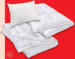 Matratzen Concord Mono-steppbett ganzjahresbett Angebot