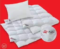Matratzen Concord Künsemüller mono steppbett ganzjahresbett Angebot