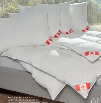 Matratzen Concord Künsemüller dauneneinziehdecke Angebot