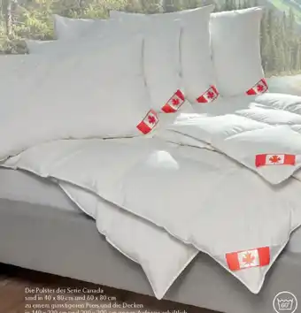 Matratzen Concord Künsemüller daunendecke warm Angebot