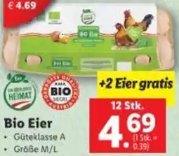 Lidl Bio Eier Angebot