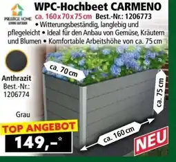 Norma WPC-Hochbeet CARMENO Angebot