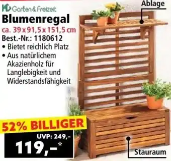Norma Blumenregal Angebot