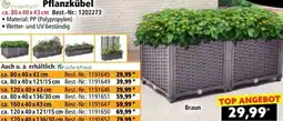 Norma Pflanzkübel Angebot