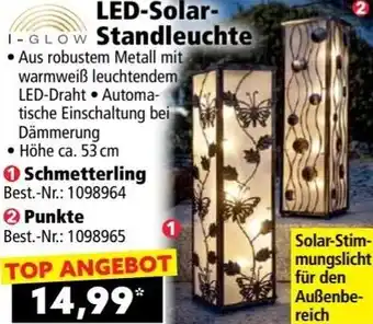 Norma LED-Solar Standleuchte Angebot