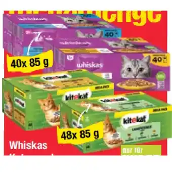 Maximarkt Katzennahrung oder Kitekat Katzennahrung versch. Sorten Maximarkt Angebot