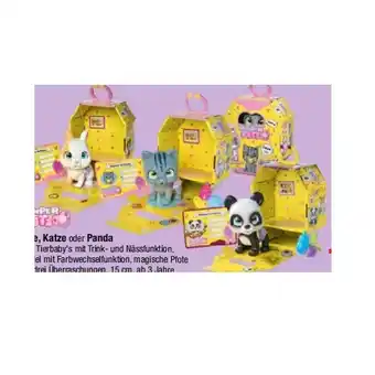 Maximarkt Spielzeug Hase, Katze oder Panda Maximarkt Angebot