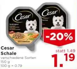 Unimarkt Cesar Schale Angebot