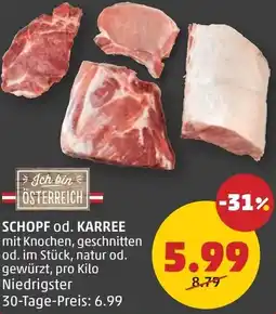 PENNY Schopf od. karree Angebot