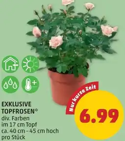 PENNY Exklusive Topfrosen Angebot