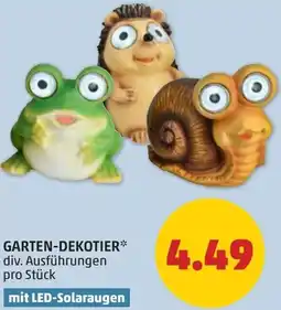 PENNY Garten dekotier Angebot