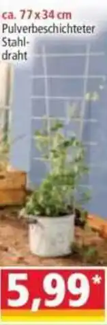 Norma Power Garden Blumenstütze Angebot