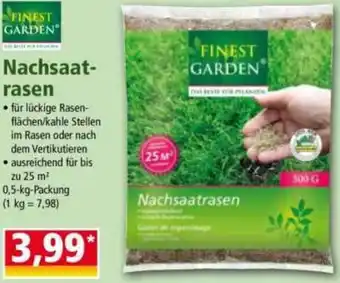 Norma Nachsaatrasen Angebot