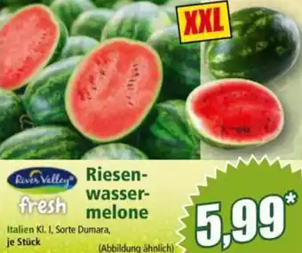 Norma Riesen wassermelone Angebot