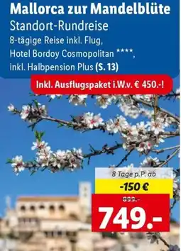 Lidl Reisen Mallorca zur Mandelblüte Angebot