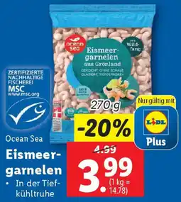 Lidl Ocean Sea Eismeergarnelen Angebot