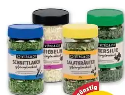 PENNY Würz & Co Kräuter Angebot