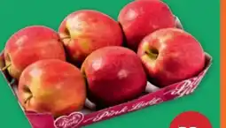PENNY Pink Lady Äpfel Angebot