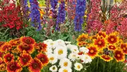 Lagerhaus Sommerstauden Angebot