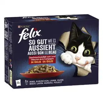 Lagerhaus Purina Felix Katzennahrung Angebot