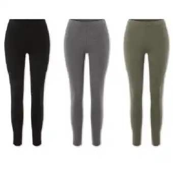 Lidl Damen Leggings 36 bis 46 Lidl Angebot