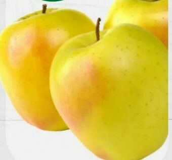 ETSAN Apfel Golden Delicious Angebot