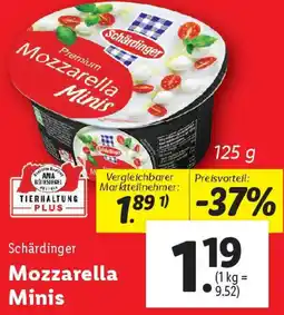 Lidl Schärdinger Mozzarella Minis Angebot
