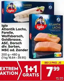 Billa Iglo Atlantik Lachs, Forelle, Wolfsbarsch, Goldbrasse, ASC, Dorsch Angebot