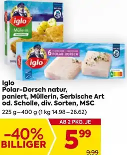 Billa Iglo Polar-Dorsch natur, paniert, Müllerin, Serbische Art od. Scholle, div. Sorten, MSC Angebot