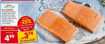 Interspar Bio-Lachsfilet Angebot