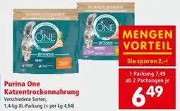 Interspar Purina One Katzentrockennahrung Angebot