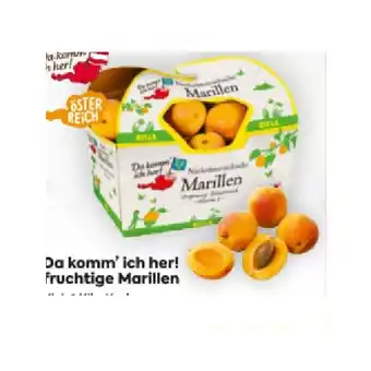 Billa fruchtig-süße Marillen BILLA Angebot