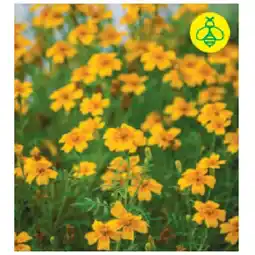 BayWa Sonnenbraut 9454309 BayWa Angebot