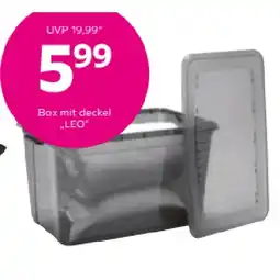 Mömax Box mit deckel „LEO“ 35560230 mömax Angebot