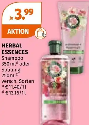 Müller HERBAL ESSENCES Shampoo Angebot