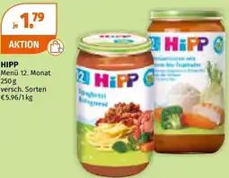 Müller HIPP Menü 12. Monat Angebot