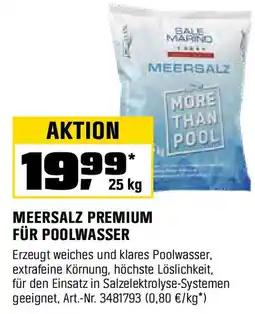 OBI Meersalz premium für poolwasser Angebot